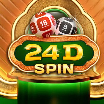 24dspin