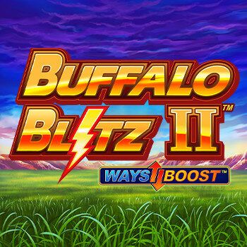 Buffalo bltiz 2